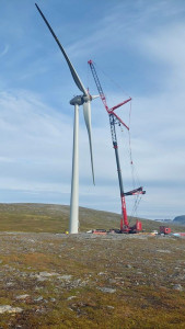 news 2022 08 0001 2036 2000 2000